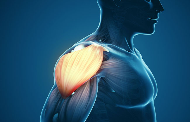 Shoulder Pain in Capitola, California